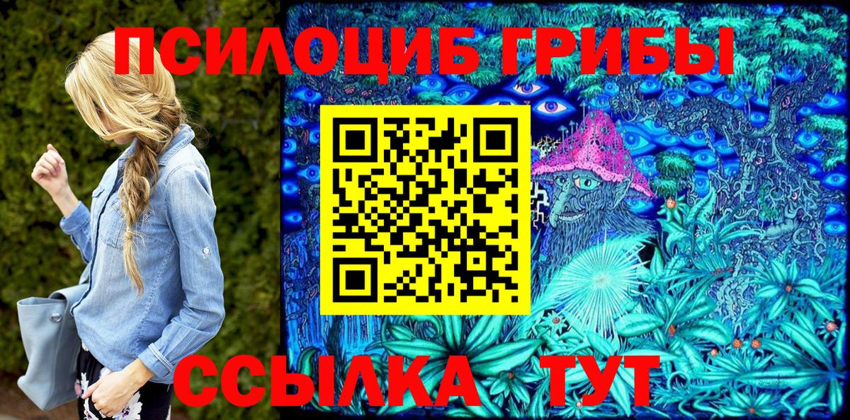 Псилоцибиновые грибы прущие грибы Шахты